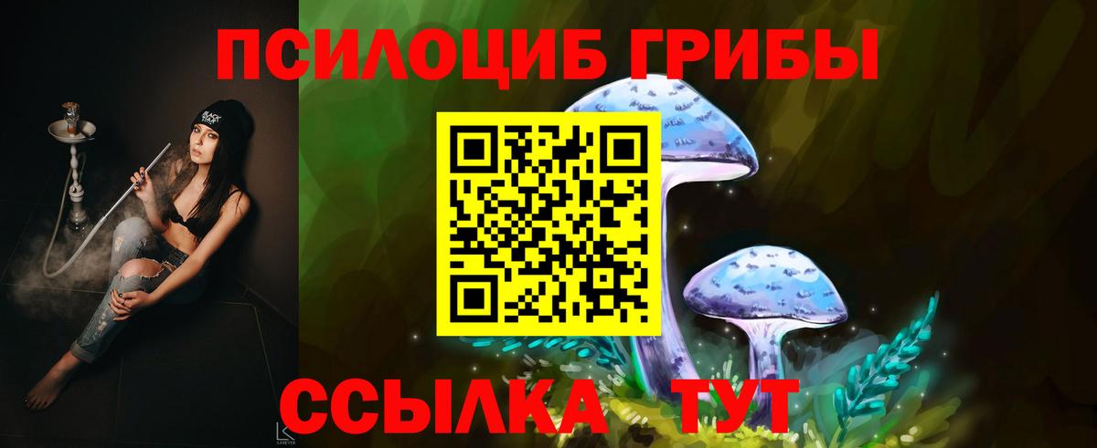 Галлюциногенные грибы Cubensis Каспийск