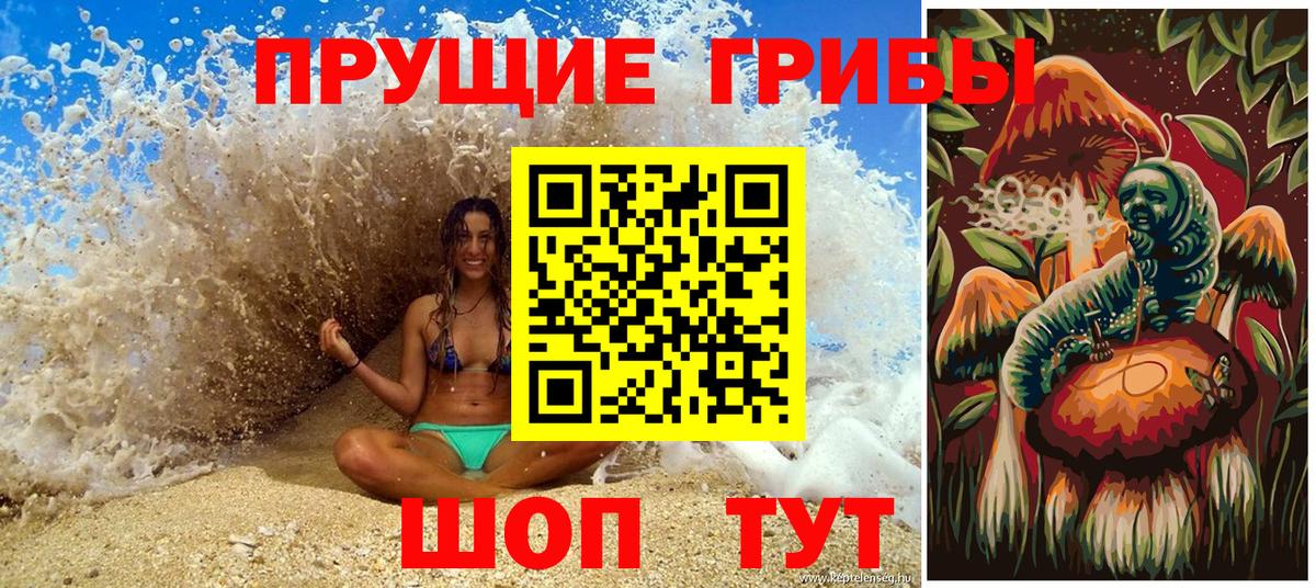 Галлюциногенные грибы Magic Shrooms  Псилоцибиновые грибы прущие грибы  Каспийск  Вход с VPN 